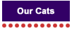 Our Cats Link